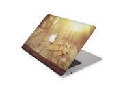 Bright Sunshine on Tongue and Groove Decking Skin 13 Inch Apple MacBook Air Complete Coverage Top Bottom Inside Decal Sticker