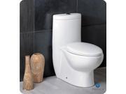 One piece Dual Flush Toilet