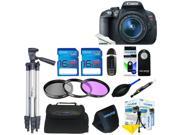 Canon EOS Rebel T5i DSLR Camera with 18 55mm Lens Expo Basic Accessory Bundle