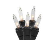 NorthLight Clear Mini Halloween Or Christmas Lights 2.5 in. Space Black Wire Set Of 100