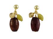 Dlux Jewels Fire Agate Semi Precious Stone with Gold Filled Post Earrings 0.87 in.