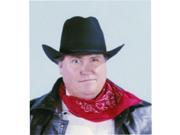 Alexanders Costumes 43 203 R Western Bandanna Red