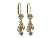 Dlux Jewels Tri Color Hearts Dangling from Gold Heart Gold Plated Brass Lever Back Earrings