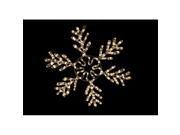 Queens of Christmas WL SFICE 48 WW 48 in. Warm White Ropelit Snowflake Ice Light