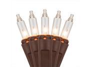 NorthLight Clear Mini Christmas Lights 2.5 in. Space Brown Wire Set Of 50