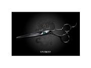 Kamisori D 1S Diablo Professional Haircutting Shears Set