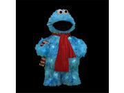 NorthLight 18 in. Pre Lit Soft Faux Synthetic Fur Sesame Street Cookie Monster Christmas Yard Art Decoration Clear Lights