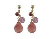 Dlux Jewels Cherry Stones with Gold Filled Post Earrings