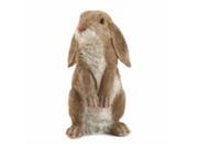 Eastwind Gifts 10016953 Curious Rabbit Garden Statue