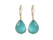 Dlux Jewels Aqua Cats Eye Semi Precious Faceted Stone Gold Plated Sterling Silver Lever Back Earrings