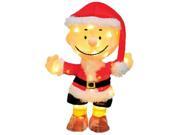 NorthLight 18 in. Pre Lit Peanuts Charlie Brown in Santa Suit Christmas Yard Art Decoration Clear Lights