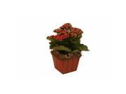 Wald Imports 5424 5p SP6 5 in. Holiday Plaid Pot Cover Set of 6