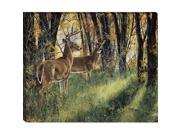 Tangletown Fine Art 3144 1822 Undercover by Andrew Kiss Wall Art Green Gold 18 x 22 x 1.5 in.