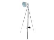 Benzara HRT 47830 Amazing Floor Lamp Chrome