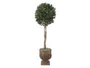 Autograph Foliages W 2581 5.5 Foot Bay Leaf Topiary Green