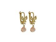 Dlux Jewels Champagne 5 x 5 mm Cubic Zirconia Teardrop Dangling with 18.75 mm Long Gold Filled Lever Back Earrings