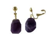 Dlux Jewels Amethyst Semi Precious Stone Gold Tone Brass Clip on Earrings 1.38 in.