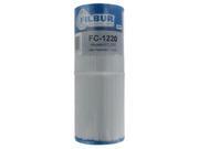 Apc FC 1220 Pool And Spa Replacement Filter Cartridge