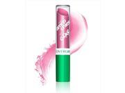 CoverGirl Lipslicks Smoochies Lip Balm Day Glow 570 Pack Of 2