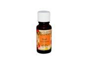 Natures Alchemy 0221424 100 Percent Pure Essential Oil Basil 0.5 fl oz