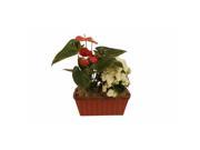 Wald Imports 5424 D6 SP3 6 in. Double Wood Planter Set of 3