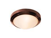 Access Lighting 20355LEDDMG BRZ FST Oceanus Marine Grade Wet Location Dimmable Led Ceiling Bronze Frosted