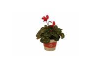 Wald Imports 8691 5P ASST SP6 5 in. Holiday Trio Metal Pot Cover Set of 6