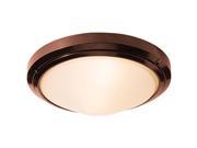 Access Lighting 20356LEDDMG BRZ FST Oceanus Marine Grade Wet Location Dimmable Led Ceiling Bronze Frosted