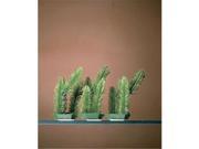 Penn Plax P34F6 Club Moss 6 Pods Foregrounder Green