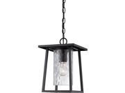 Quoizel LDG1909K 1 Light Outdoor Hanging Lantern Mystic Black