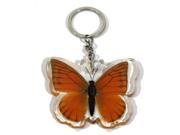 Ed Speldy East Company BTK103 Real Bug Orange Albatross Butterfly Key Chain