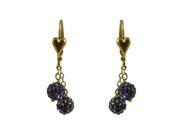Dlux Jewels prpgry Gold Filled Perple Crystal Earrings