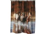 IWGAC 017 768 Running Horses Rush Hour Shower Curtain