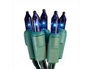 NorthLight Battery Operated Blue Mini Christmas Lights Green Wire Set Of 20