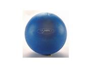 Ball Dynamics International FBMINI FitBALL Mini PVC