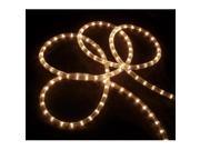 NorthLight 18 ft. Clear Indoor Outdoor Christmas Rope Lights