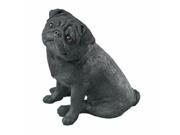 Sandicast MS483 Mid Size Black Pug Sculpture Sitting