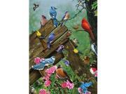 Outset Media Games OM51781 Birds of the Forest 1000 Piece Puzzle