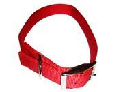Coastal Pet 02901 B RED26 1 x 26 in. Double Ply Nylon Dog Collar Red