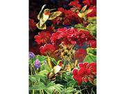 Outset Media Games OM51787 Ruby Geraniums 1000 Piece Puzzle