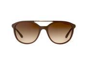 Giorgio Armani W SG 3210 Emporio Armani AR 8051 5337 13 Top Brown Pearl Womens Sunglasses 53 18 140 mm
