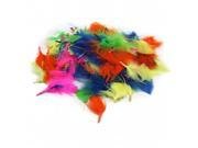 Turkey Feathers Hot Colors 14G Bag