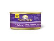 Wellpet OM02660 24 3 oz Wc Entree Cubed Turkey and Salmon