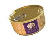 Wellpet OM09017 24 5.5 oz Wellness Cat Salmon and Trout Food