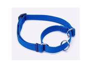 Coastal Pet Products CO07262 6907 1 in. Adjustable Collar Blue