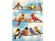 Outset Media Games OM52093 Birds on a Wire 500 Piece Puzzle