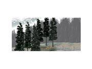 Woodland Scenics WS 1582 6 in. 8 in. Pine Trees