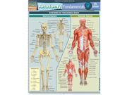 BarCharts Inc. 9781423209829 Anatomy Fundamentals Life
