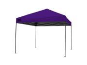 Bravo Sports 163452 100 Team Colors 10 x 10 ft. Instant Canopy Purple