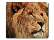 Gazing Lion Animal Art Natural Eco Rubber Mousepad 9 x 10